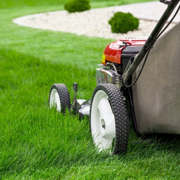 Lawn Care Services