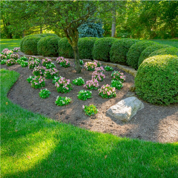 Landscape Services