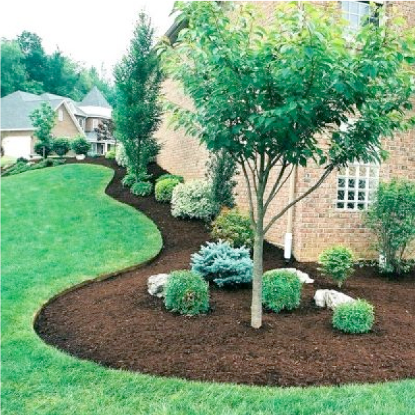 Mulch Installation