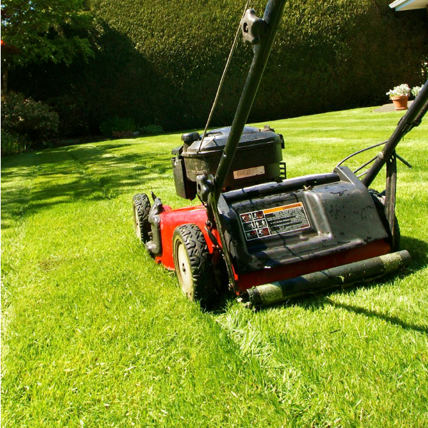 Lawn Mowing