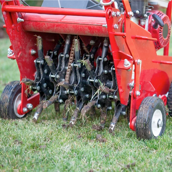 Lawn Aeration