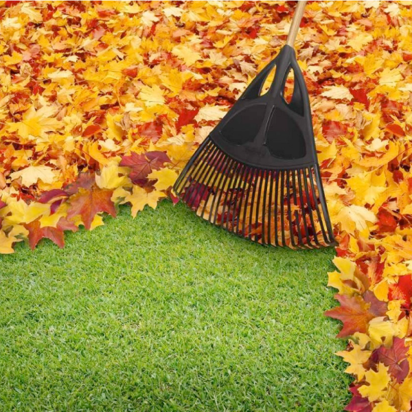 Leaf Clean Up