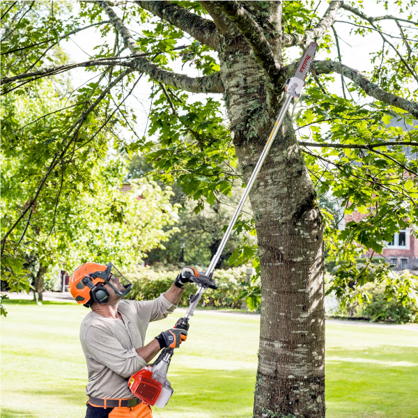 Tree Trimming