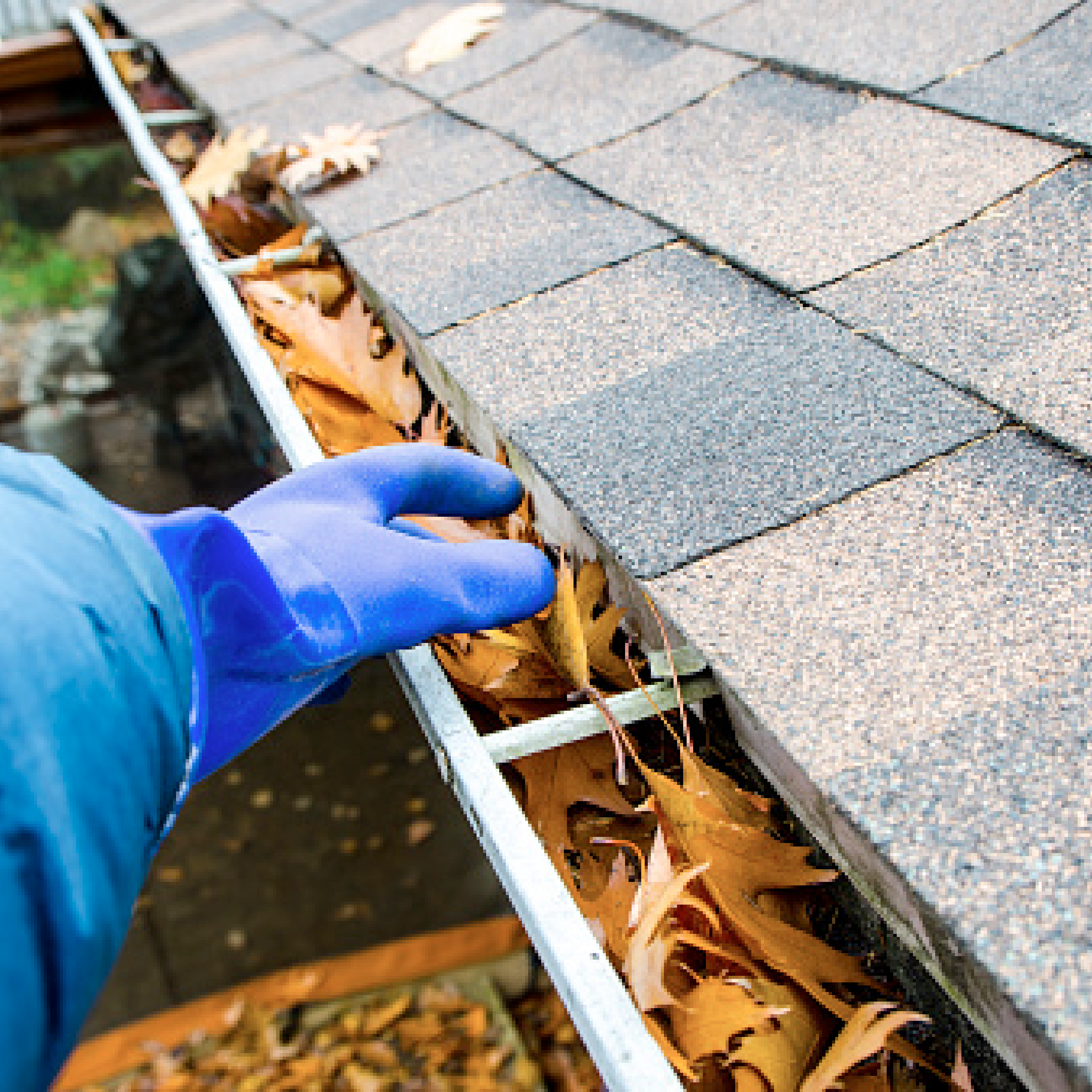 Gutter Cleaning